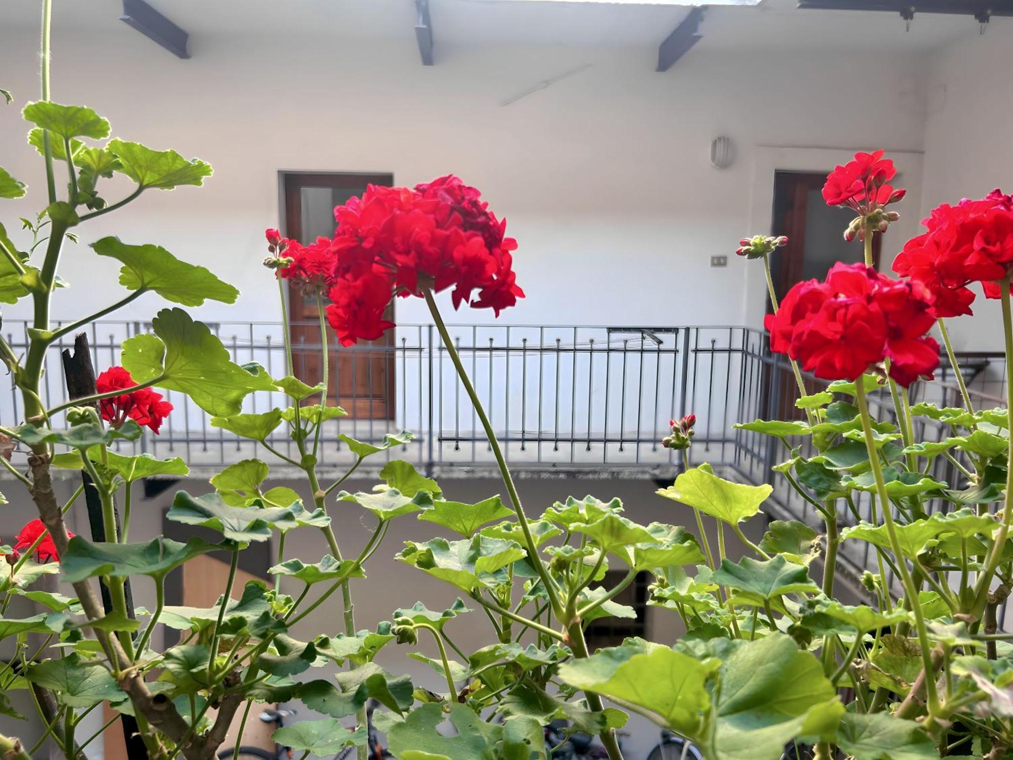 Gorizia Holiday Inn Rastello Suite Zewnętrze zdjęcie